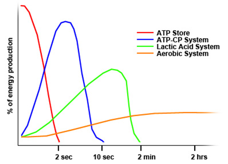 ENERGY SYSTEMS